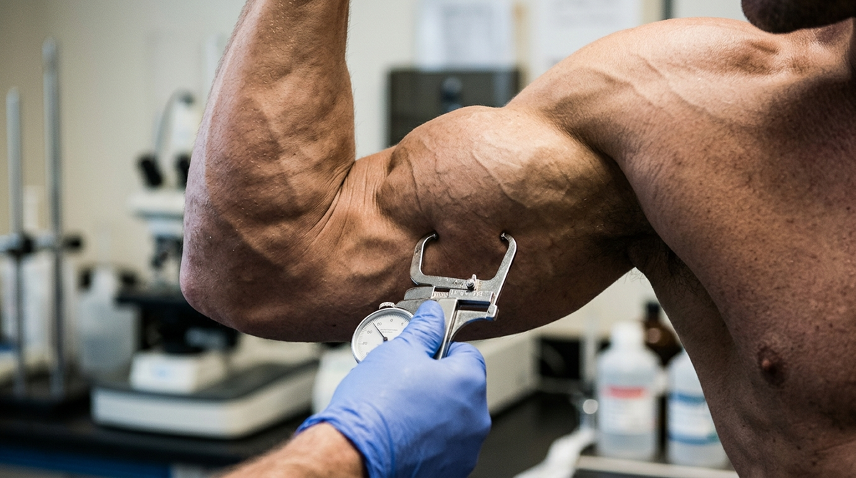 Follistatin 344 Mechanism for Myostatin Inhibition
