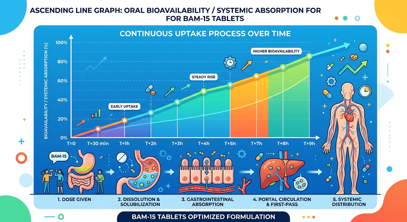 BAM-15 Tablets Bioavailability Graph