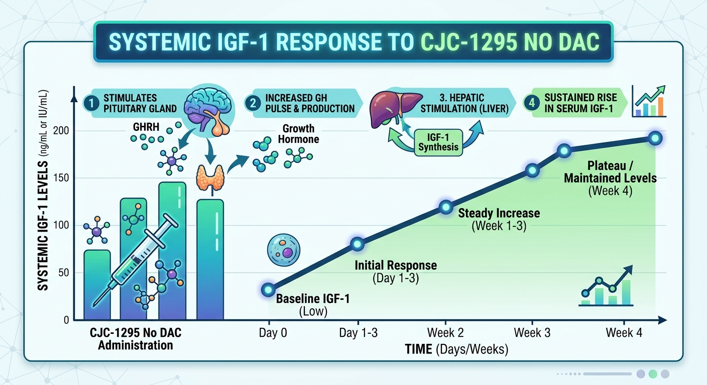 CJC-1295 No DAC Secretagogue Impact